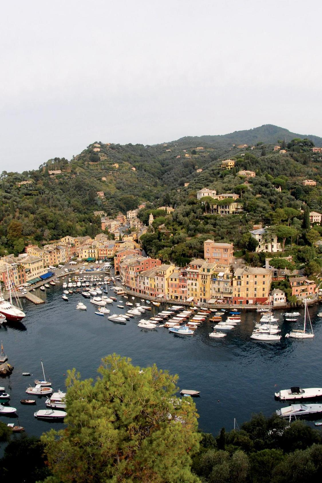 Panorama